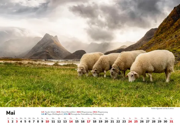 Wandkalender: Skandinavien 2026 - Tierische Momente – Bild 6