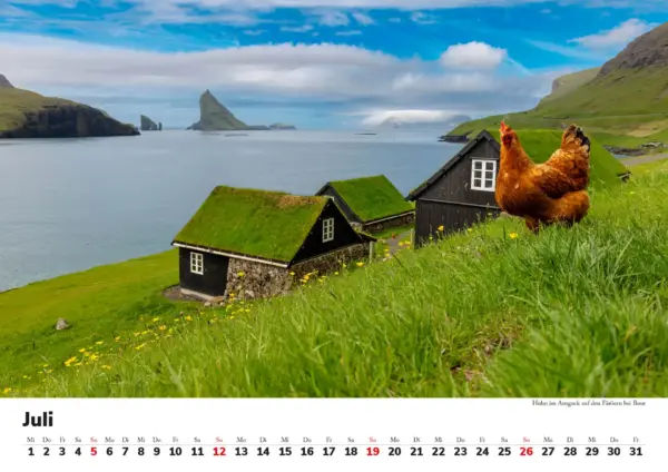 Wandkalender: Skandinavien 2026 - Tierische Momente – Bild 8