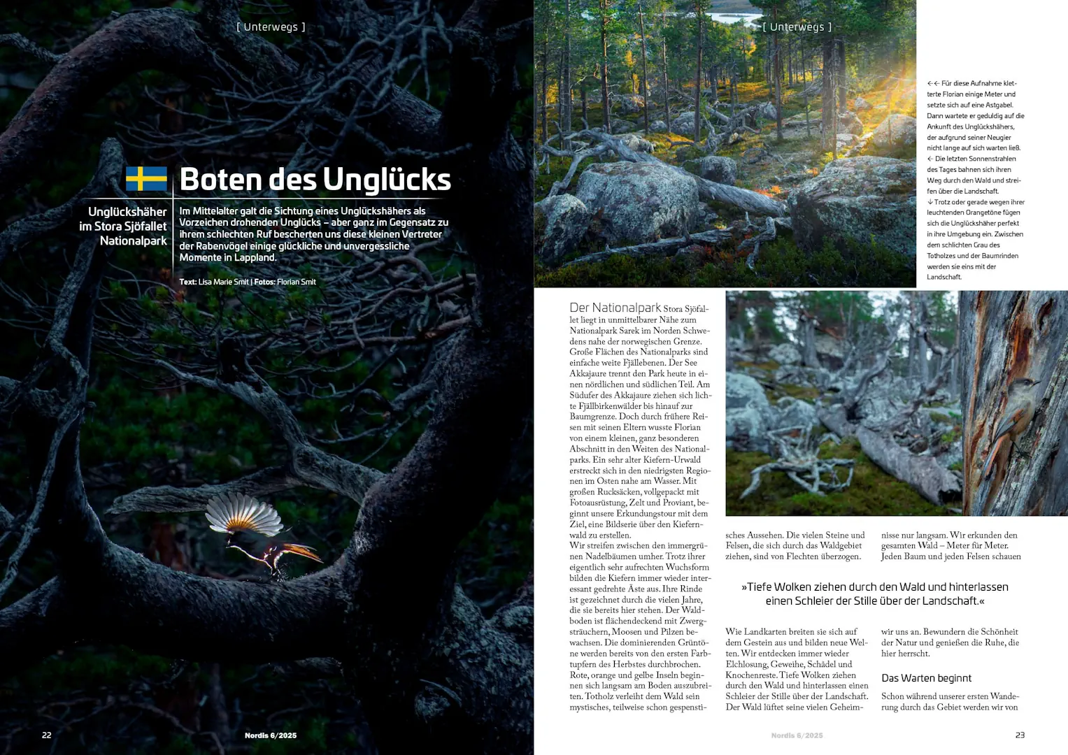 Nordis-Magazin 6/25 – Bild 4